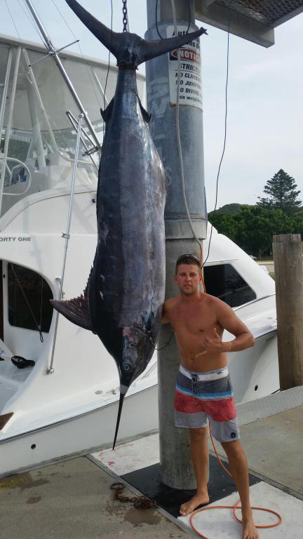 ANGLER: William Kozma SPECIES: Blue Marlin WEIGHT: 192 kgs LURE: JB Lures, 14" Chopper